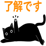 ほっこり猫×TakaShirt